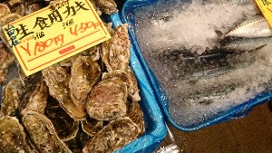 20151128 - T̔ł  -_41