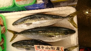 20151128 - T̔ł  -_45