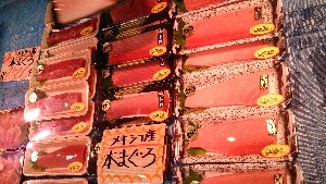 20151128 - T̔ł  -_51