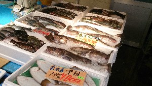 20151212 - T̔ł -_36