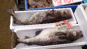 20151212 - T̔ł -_1