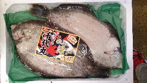 20151212 - T̔ł -_2