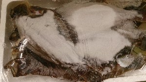 20151219 - T̔ł -_38