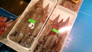 20151219 - T̔ł -_44