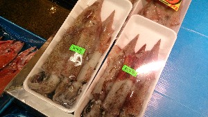 20151219 - T̔ł -_45