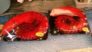 20151219 - T̔ł -_47