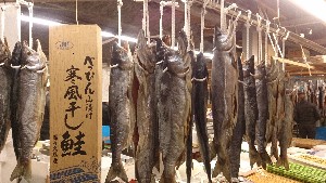 20151226 - T̔ł -_47