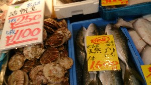 20151226 - T̔ł -_55