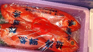 20151226 - T̔ł -_60