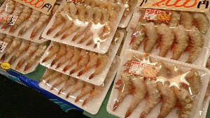 20151226 - T̔ł -_68