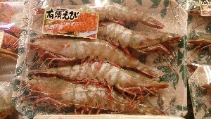 20151229 - T̔ł -_3