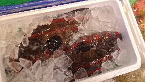 20151229 - T̔ł -_8