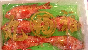 20151229 - T̔ł -_9