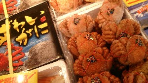 20151229 - T̔ł -_19