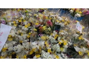 20161229 - T̔ł -_40
