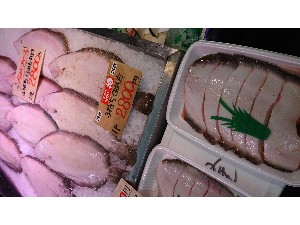 20161229 - T̔ł -_76