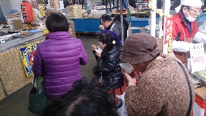 20170107 -@̎HƎ̑ -_9