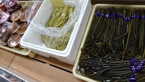 20170107 -T̔ł -_12