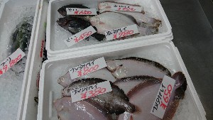 20170107 -T̔ł -_35