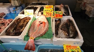 20170107 -T̔ł -_44