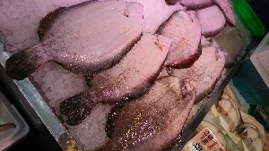20170107 -T̔ł -_46