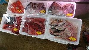 20170107 -T̔ł -_51