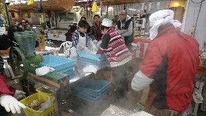 20170107 -{̎薡X̗lq -_3