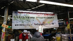 20170107 -@̎HƎ̑ -_24