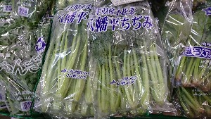 20170114 -@T̔ł -_1