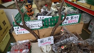 20170114 -@T̔ł -_9