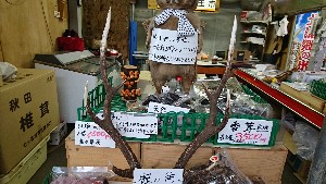 20170114 -@T̔ł -_14