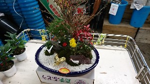 20170114 -@T̔ł -_20