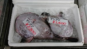 20170114 -@T̔ł -_31