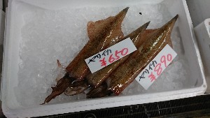 20170114 -@T̔ł -_32