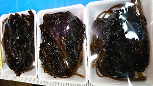 20170114 -@T̔ł -_38