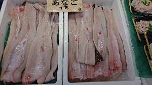 20170114 -@T̔ł -_42