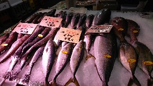20170114 -@T̔ł -_47