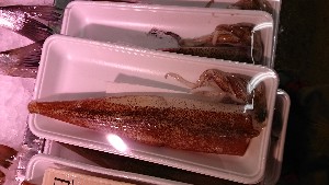 20170114 -@T̔ł -_50