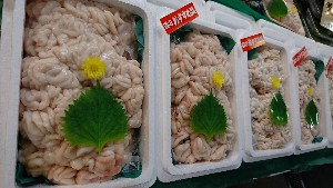 20170114 -@T̔ł -_54