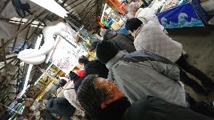 20170114 -@ؓ[X̐؂g -_13