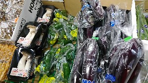 20170121 -@T̔ł -_3