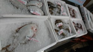 20170121 -@T̔ł -_32