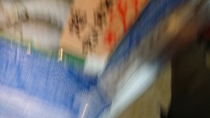 20170121 -@T̔ł -_35