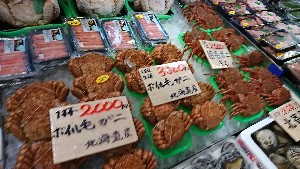 20170121 -@T̔ł -_51