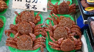 20170121 -@T̔ł -_56