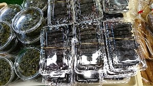 20170128 - T̔ł -_14