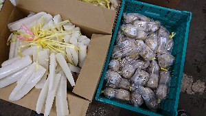 20170128 - T̔ł -_30