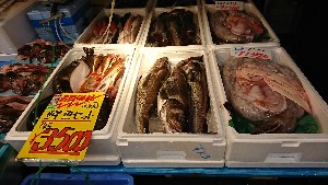 20170128 - T̔ł -_42