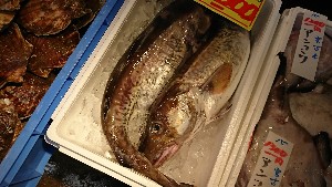 20170128 - T̔ł -_43