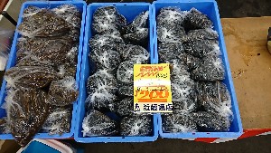 20170128 - ̂胏J̃VuVuƃJ̑ -_2